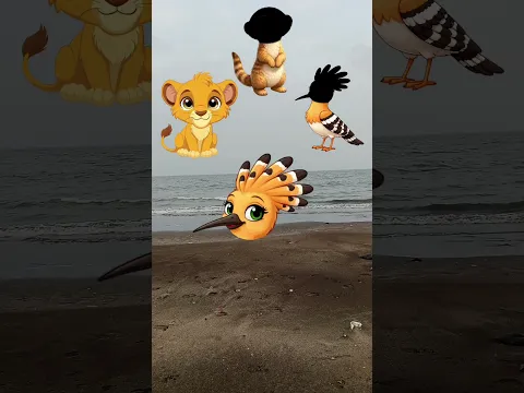 Guess the Animal Part 2: Lion, Meerkat, Hoopoe #sankatmochanvlog #animal #bird #ytshorts