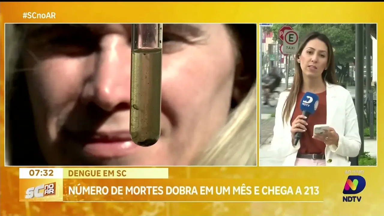 Número de mortes por dengue dobra em apenas um mês; SC soma 213 vítimas fatais
