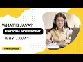 What is Java Why Java is Platform Independent Java Basics