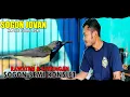 Download Lagu SOGON SEMI KONSLET - RAWATAN DAN SETTINGAN SOGON JOVAN MILIK MR YAFI PUTRA TEGAL