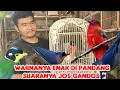 Download Lagu WARNANYA ENAK DI PANDANG SUARANYA JOS GANDOS 