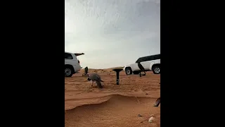 شعر ابعد عن الجوال وإزعاج الارقام 