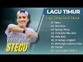 Download Lagu FARIS ADAM - STECU | JUAN REZA - PICA PICA | NYONG TIMUR || LAGU POP TIMUR VIRAL TIKTOK 2025