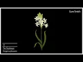 Sam Smith - So Serious (Audio)