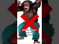 Download Lagu Me and my MoNkEy!    #funny #fyp #shorts #monkey #trending