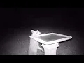 Lowe s Square Birdbath H Buff Concrete - Quick Look