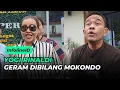 Download Lagu YOGI RINALDI IS ANGRY AT BEING CALLED MOKONDO, EXPOSES EVERYTHING ABOUT QUEEN META