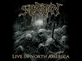 Pierced from Within (Live)