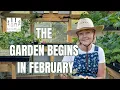 Lagu The Garden Begins In February/ A seed starting marathon weekend 