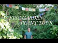 Journey Through Paradise with Russel Epic garden plant tour with rare exotic plants Singapore