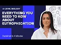 Eutrophication Explained In 4 Minutes