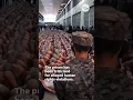 Download Lagu El Salvador transports 2,000 gang members to new prison | USA TODAY #Shorts