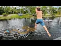 3 Days of Catching Cooking Crazy Lizards Big Snakes Blue Crabs and Peacock Bass