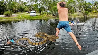 3 Days of Catching Cooking Crazy Lizards Big Snakes Blue Crabs and Peacock Bass