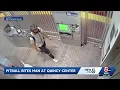 Pit bull owner sought after man bitten in Quincy