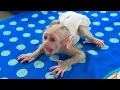 Download Lagu Crying Seizure!! Tiny adorable Luca crying loudly when Mom training him to walk