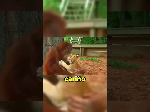 Los adoptó como si fueran suyos 🥹