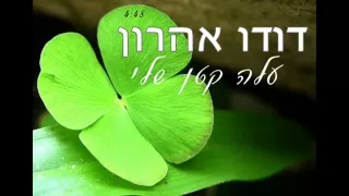 דודו אהרון עלה קטן שלי 