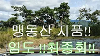 올드카 여행 //임도 오프로드 맹동산 지품  대장정  탐사를 마무리 하면서!! 썸네일