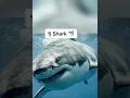 Animals with Down syndrome