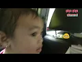 Download Lagu Berpetualang seru di Taman Safari - Lagu Anak Indonesia - Mengenal Binatang