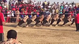 مديما حماسية دندنها