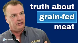 The Truth about Grain-Fed Meat, Farmers and our Food Supply – Frank Mitloehner
