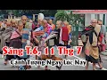 Download Lagu Sư Minh Tuệ bộ hành vào Bồ Đề Đạo Tràng India sáng 11 Thg7