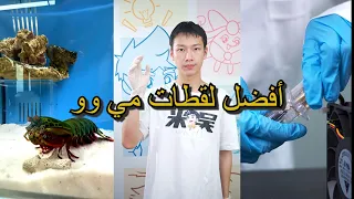 أفضل لقطات مي وو | الحلقة 31 هل هناك مقطع تعرفه جيدًا؟#miwuscience #experiment #chemistry