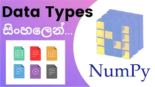 Python Numpy Tutorial - 05 Data Types Sinhala