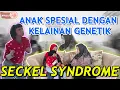 Download Lagu MENDAPAT BULLY-AN DARI NETIZEN | MEMBESARKAN DIVA SEORANG DIRI, SABAR TANPA BATAS #PejuangNICU