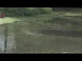 Body found in Terre Haute cemetery pond was likely there for days before a caretaker found him