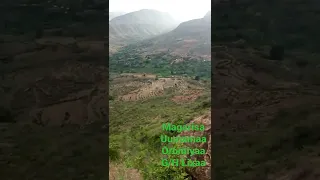 Godina Harargee Lixaa Gammachis 