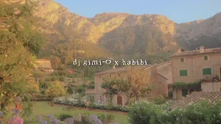 dj gimi-o x habibi | instrumental slowed + reverb + loop