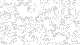 White Abstract Topographic Lines Minimal Line Art Background 8 Hours 4K 60FPS