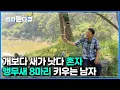 Download Lagu 단 한마리도 ‘절대 안 도망가는’ 앵무새 8마리를 키우게 된 사연｜#골라듄다큐