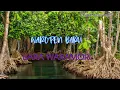 Download Lagu WAROPEN BARU_BARA WARAMORI(OFFICIAL MUSIC AUDIO)