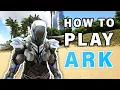 How to Beat the ISLAND Map on Ark Complete Guide Ark Survival Evolved