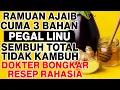 3 Bahan Alami yang Dapat Membantu Mengatasi Pegal Linu pada Lansia