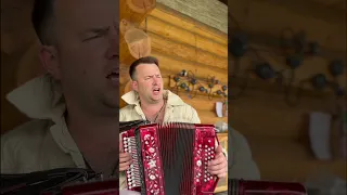 Про моряка не частушка гармонь песнядуши 