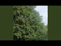 Download Lagu Sakit itu apa