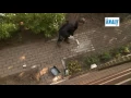 Download Lagu Knauf Renostone: een nieuw terras na slechts enkele uren werk!