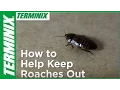 How to Get Rid of Roaches in Your House Terminix Tips