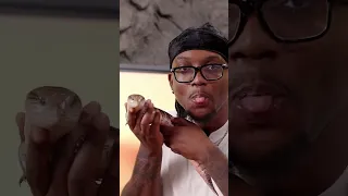 YourRAGE Is A SKINK Alveus 