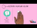 Download Lagu Aliran Hukum Alam Univ.Pancasila