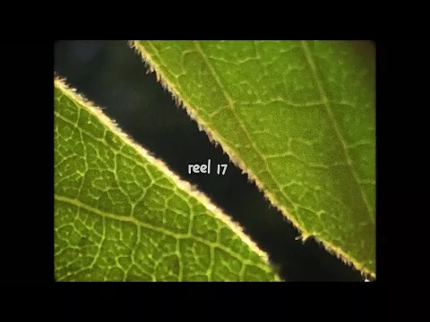 reel 17