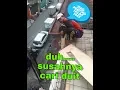 Download Lagu kerja proyek demi sesuap nasi rela kerja kayak gini... susahnya cari duit