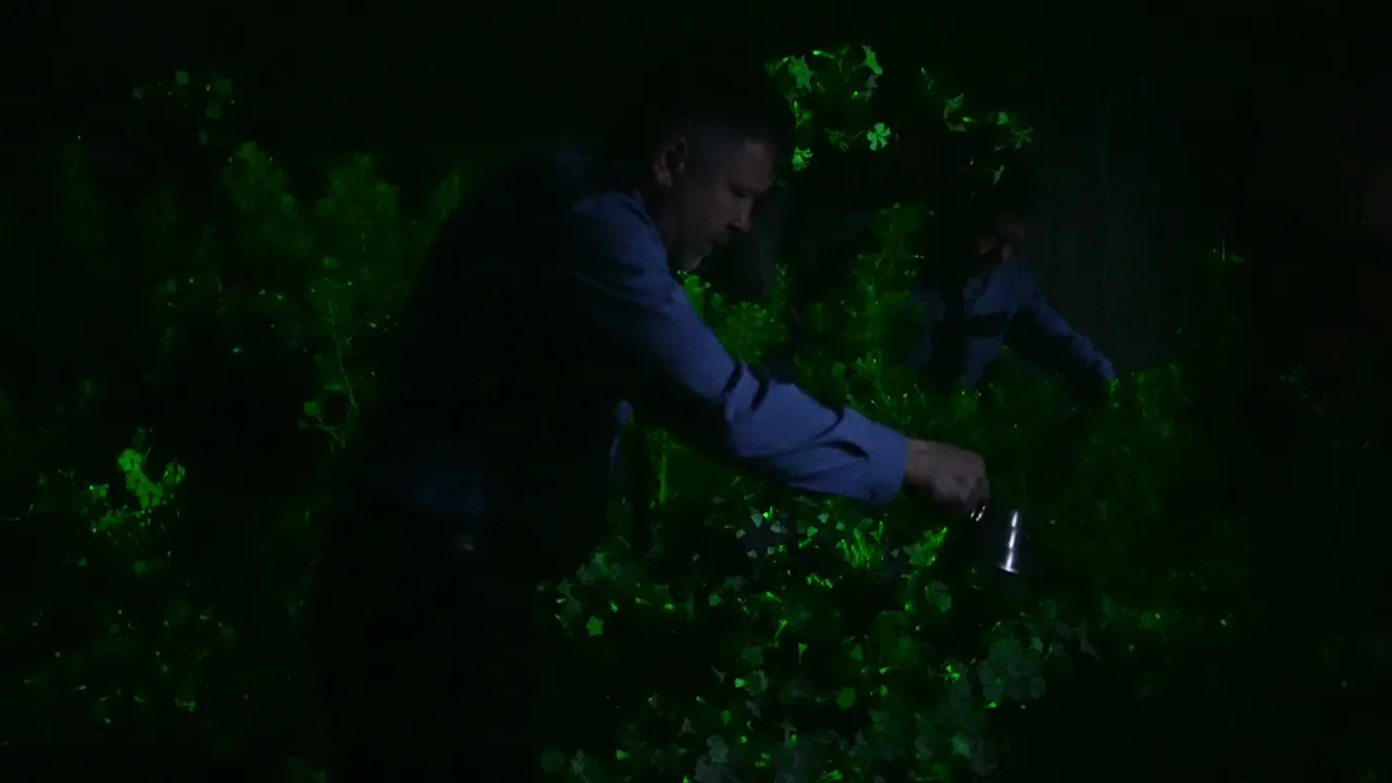 Light Bio — Light Bio — Biodesigns in Living Light (YouTube video ad)