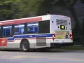 Buses of the Chicago Transit Authority Part II
