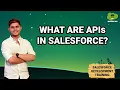 What are APIs in Salesforce Learn Salesforce Development